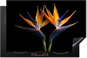 KitchenYeah© Coperchio Piano Cottura 80x52 cm Cucina Copri Fornelli Tappetino Induzione Antiscivolo Piastra Protezione Piante - Fiori - Uccello del paradiso - Ritratto - Nero