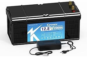 TCBWORTH LifePo4 - Batería de 12 V 200 Ah Deep Cycles 2560WH con BMS para Trolling Motor Solar Autocaravana electrodomésticos Marine Golfwagen Fuente de alimentación de Emergencia con Cargador