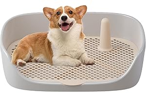 REHMANNIAE Toilette Per Cani, Vassoio Per Addestramento Toilette Per Cani, Vassoio Per Addestramento Vasino Per Cani, Vassoio Per Vasino Per Cani Cuccioli,Cuscinetti Per Addestramento Vasino Rimovibili