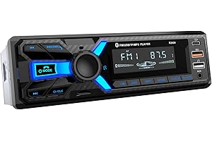 RDS Autoradio Bluetooth, Wistrue Autoradio1DIN con Porta di ricarica Type-C Stereo Auto Bluetooth FM/AM con lettore MP3 vivavoce/2 USB/AUX/SD Supporta Android e iOS