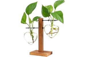 XXXFLOWER Plant Pots Wooden Stand, Plant Terrarium Propagation Station Desktop Hydroponic Planter Glass Vase for Home Garden Office Decoration, Plant Lover Gifts - 2 Love Bulb Vase Plant Accessories