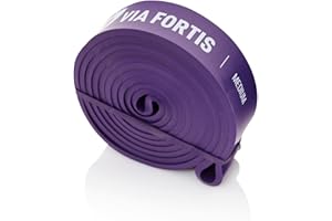 ‎VIA FORTIS VIA FORTIS Premium Resistance Bands + Übungsanleitung und Tasche - Widerstandsbänder/Klimmzugband und Klimmzughilfe/Fitnessband/Trainings-Bänder für Fitness & Krafttraining