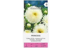 ŽALIA STOTELĖ Zalia stotele | ASTER CHINO - PRINCESA DE LAS SEMILLAS | Semillas de flores | Semillas de plantas | Semillas de jardín | 1 paquete