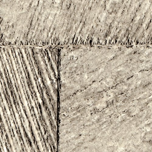 PURO TAPETE | Realistische Tapete ohne Rapport und Versatz | Kein sich wiederholendes Muster | 10m VLIES Tapetenrolle | Holz f-A-0375-j-a - 5