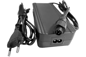 Enerpower Caricatore 42 V 2 A 85 Watt a 5 pin rotondo per batterie da 36 V per Fischer, Phylion, Devron, Lifebike, Batavus, Sparta ecc.