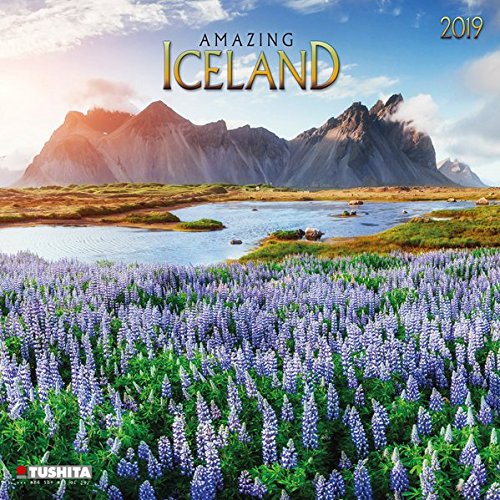 Amazing Iceland 2019: Kalender 2019 (Wonderful World)