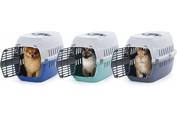 Cage de Transport Chat - Chien - Flamingo Noah 1 Multicolore - 32 x 49 x 30,5 cm - avec poignée - Clips de sécurité - Ouvertures Ventilation - Fentes Ceinture sécurité - fabriqué en Europe