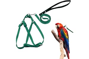 ASOCEA Harnais Et Laisse pour Oiseaux Perroquet Attache à Plumes RéGlable Corde en Nylon Volante Porte EntraîNement ExtéRieur Anti-Morsure pour Petit Perroquet Moyen Perruche InséParable Cockatiel