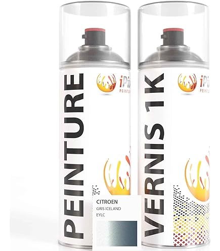 Vernis En Bombe MG PRIME Peinture Voiture Bombes Aérosols Pour Citroen EYL Gris Iceland Peinture Grise