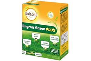 SOLABIOL Engrais Gazon Plus - 2,5 kg - Granulés - Jusqu'à 62m² - Nutrition Longue Durée - Gazon Dense & Vert - Action Rapide - Utilisable En Agriculture Biologique SOGAZPLUS25