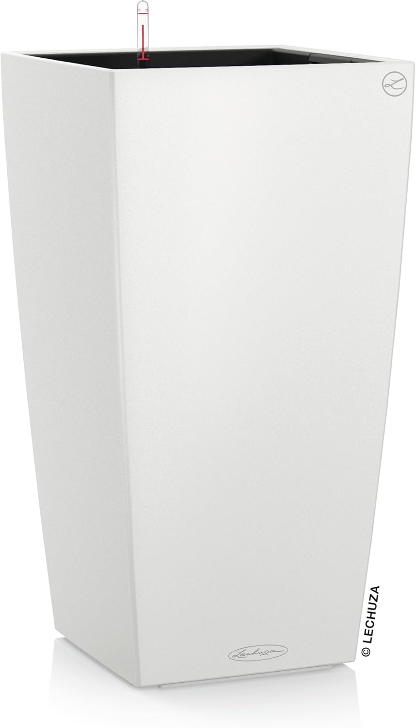 Vue 9