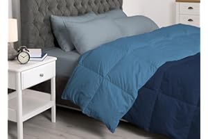 BIANCHERIAWEB Interno Imbottitura Piumino Invernale 300gr/mq in Piuma D'Oca Bicolor Matrimoniale Azzurro-Blu