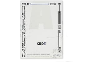 STRAY KIDS 1st Album - GO生 [ Standard ver. / C Type ] CD + Photobook + Photocards + Unit Lyric Leaflet + 4 Cut Film + Secret Card + FREE GIFT
