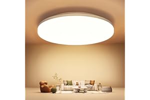 LEDYA Plafonnier LED Luminaire Salle de Bain, 18W 1600LM Plafonnier Salon 2700K,pour Chambre,Cuisine,Balcon, Couloir,Blanc Chaud,Ø20