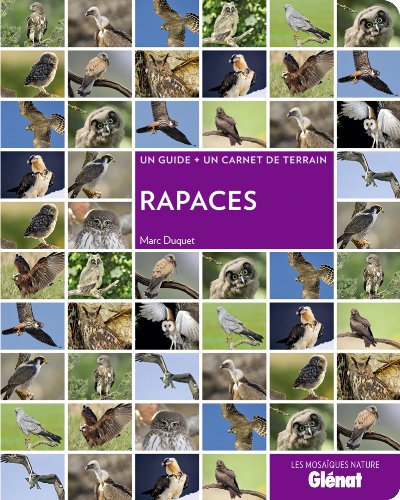 couverture de : Rapaces