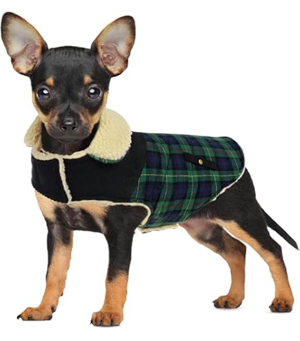 Chaleco Impermeable Para Perro – Abrigo Acolchado Invierno Con Cremallera – A Prueba De Agua Y Viento, Talla L Verde