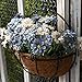 Produktbild XMJR Wall decoration Shop wand Balkon Schlafzimmer Wanddekorationen Bügeleisen Blumenkörbe wand Pflanzen hängende Wand Dekoration aufhängen Kreative, Royal Blue Sea Grass+3 Warenkorb Kabelbaum blau und weiß Ju