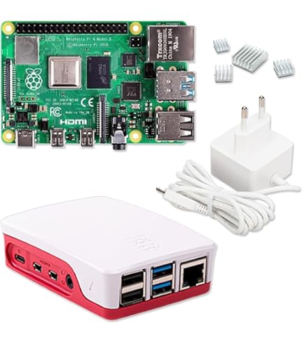 LABISTS Raspberry Pi 4 Model B 4 Go RAM Starter Kit, RPi Barebone