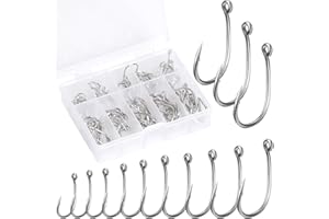 Aruicheng 100 PCS Barbed Sea Fish Hooks with Plastic Box - Carbon Steel Eyed Fishing Hooks for Freshwater & Saltwater 3# - 12#