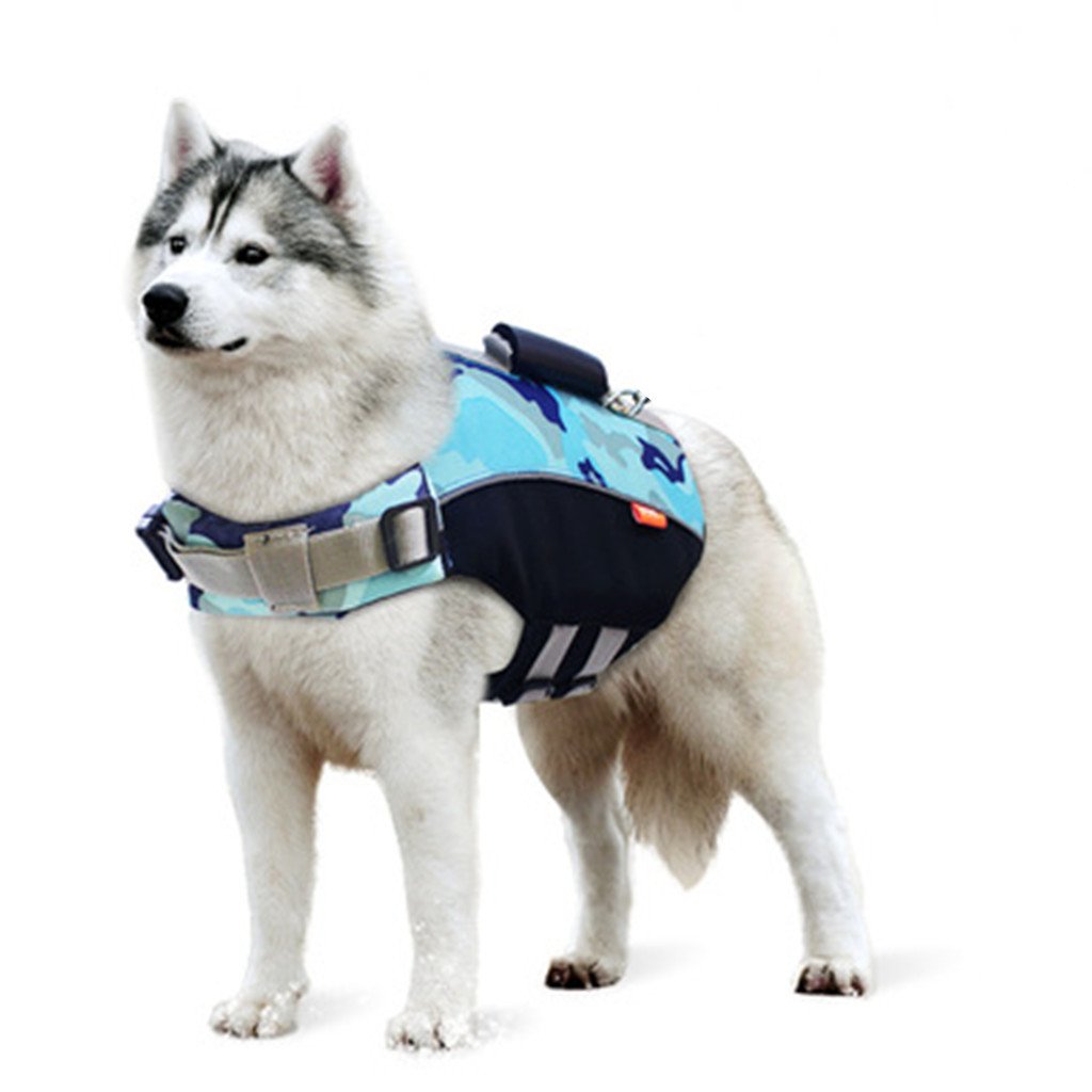 abbigliamento cani fila