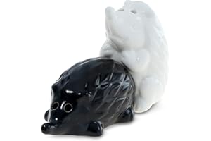 FLANACOM Saliera e Pepiera Set in Porcellana - Porta Sale Pepe Carini - Regalo Inaugurazione Casa, Regalo Matrimonio, Regalo di Compleanno per Coppie - Saliera Pepiera - Decorazione Animale (Riccio)