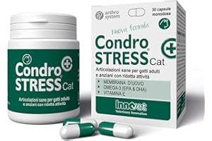 Innovet Condrostress (+) Cat, per Gatti Adulti e Anziani con Rigidità Articolare, Contro Osteoartrite, Preserva la capacità di Movimento, Neutralizza i Radicali Liberi, Confezione da 30 Capsule