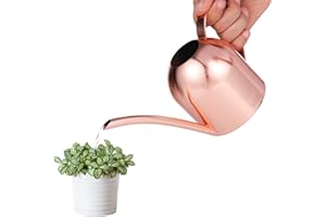 Saicowordist 17.6OZ / 500ML Rose Gold Indoor Watering Can Small, Ornate Stainless Steel Metal Long Spout Bonsai Mini Watering Can, Watering Pot for Indoor&Outdoor Plant(Rose Gold)