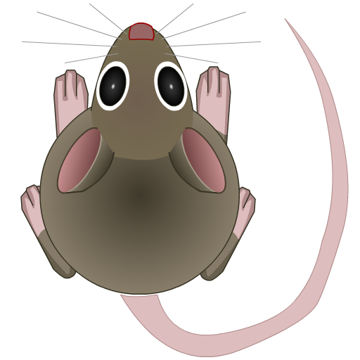 Gizzys Friend - a Cat Toy