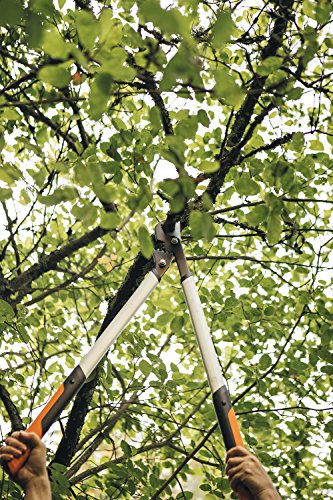 Fiskars PowerGear X Bypass-Getriebeastschere für frisches Holz, Antihaftbeschichtet, Gehärteter Präzisionsstahl, Länge 80 cm, Schwarz/Orange, LX98-L, 1020188 - 8