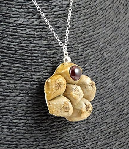 Pendant made of CAMEL FOOT Pod, round GARNET cabochon + Sterling Silver necklace