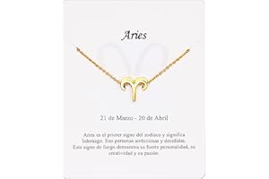 ONLY FAITH Collana segno zodiacale in acciaio inox bella carta significato segno zodiacale ciondolo oroscopo per donna o uomo regalo compleanno