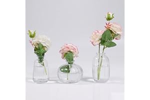 NWVUOP 3er-Set Klar Kleine Vasen für Tischdeko Dekorativ Glasvasen Blumenvase Set Bud Vase