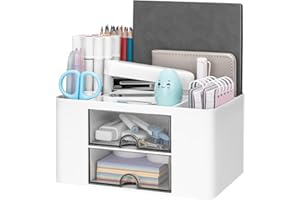 RISEMART Schreibtischorganisator mit 2 Schubladen, multifunktionaler Stifthalter für den Schreibtisch, Schreibtischorganisatoren und Aufbewahrung mit 5 Fächern, Desktop-Organizer für Büro