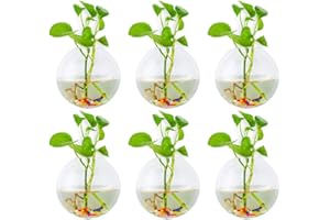 Glasseam wiszące skrzynki na kwiaty ze szkła 6 szt., kulisty kształt słoików na rośliny, terrarium wazon z pojemnikiem z 6,36 Oz kolorowymi kamieniami, wewnątrz na zewnątrz, do domu, ogrodu, na ślub