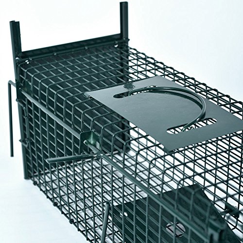 Lebendfalle 53 x 19 x 19 cm mit 2 Eingängen Drahtfalle / Rattenfalle mit Bissschutz & Trittbrett professionelle Tierfalle mit Rahmenverstärkung Türsicherung sofort einsatzbereit & pulverbeschichtet - 9