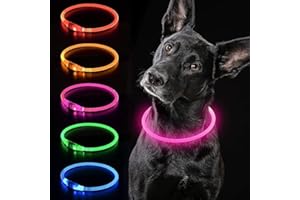 iTayga Collier Chien Lumineux, Collier LED pour Chien Rechargeable USB, Peut être coupé à n'importe Quelle Taille, Collier pour Chiens de sécurité pour Petits, Moyens et Grands Chiens.(Rose)