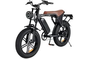 GENERIC 20” Electric Bike, 20 Inch E Bike, Hybrid Bike, Adult Bicycle, 48V 15AH Battery, Brushless Motor, LCD Display, 7 Gear, Rear Seat, Throttle, Suspension, Disc Brakes, Headlight, Indicators, New