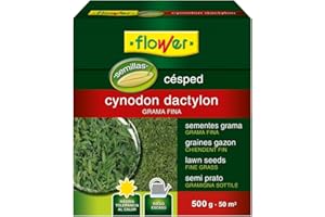 FLOWER SEMILLA CYNODON DACTILON