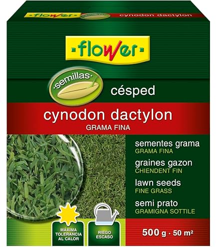 Graines Gazon Cynodon Dactylon R&R SHOP - 900g Pour 90 M², Résistant Chaleur, Sécheresse, Piétinement, USA