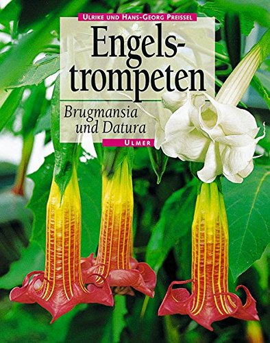 Download Engelstrompeten. Brugmansia und Datura