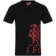 Liverpool FC Mens T-Shirt Graphic Official Football Gift
