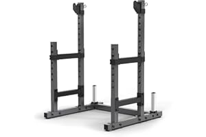 PASYOU SR30 Adjustable Squat Rack, Heavy Duty Gym Rack Stand, Multifunctional Power Rack Weight Bench Support for Home Gym Strength Training, Bench Press Dumbbell Rack with Max Load 1800lbs