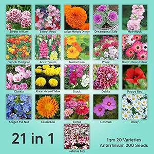 Kraft Seeds Gate Garden, Mix of 21 Different Varieties of Non-GMO Seeds, Bee and Butterfly Garden Seeds, Colorful Annual Flower Seeds, Indian Seeds for Your Garden, 1 Gram Each Variety
