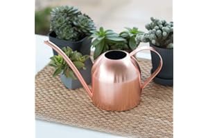 Asvert Arrosoir Plante en Acier Inoxydable Arrosoir Plante Interieur Métal, Petit Arrosoir avec Bec pour Maison Plantes Bouilloire Jardinage Darrosage 500 ML