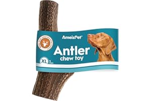 AmeizPet Cane Masticatore Di Corna, Corna Di Cervo, Osso Per Cani Di Piccola E Grande Taglia, Giocattoli Per Cani Di Lunga Durata, Osso Di Cervo - Taglia XL Corna Di Cervo 1 Pezzo