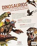 Image de Dinosaurios (CONOCIMIENTO)