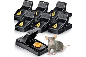 TK GRUPPE TIMO KLINGLER 6-kierunkowa pułapka na myszy Pułapka na myszy wielokrotnego użytku, szczury - pułapka na myszy - pułapka na szczury do domu i ogrodu