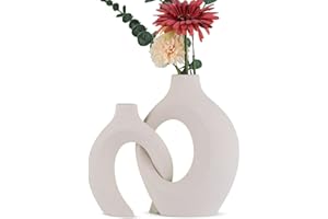 oliruim Juego de 2 jarrones de cerámica de Hierba de la Pampa, Centro de Mesa Moderno, Adecuado para Entrada, salón, Boda, Oficina, decoración del hogar (Blanco)