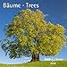 Produktbild Bäume T&C 2016