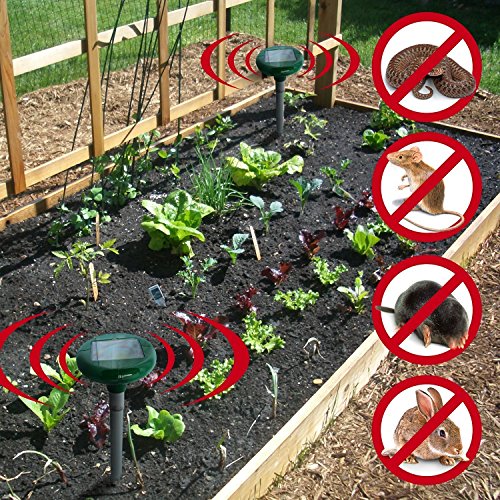 Dare Color 2 Stück Ultrasonic Solar Maulwurfabwehr, Maulwurfschreck, Maulwurfbekämpfung, Wühlmausschreck, Sonic Repeller Schädlingsbekämpfung - 5